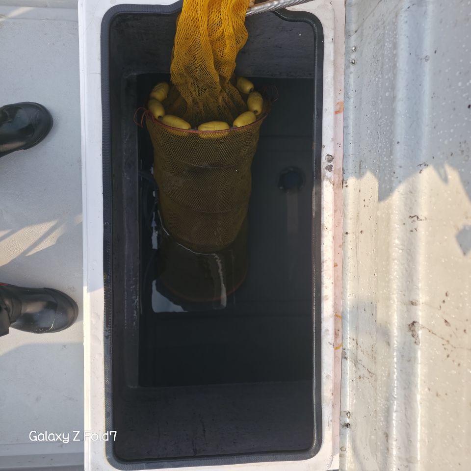 [전국] 1.49톤 레저선 매매 이미지 8