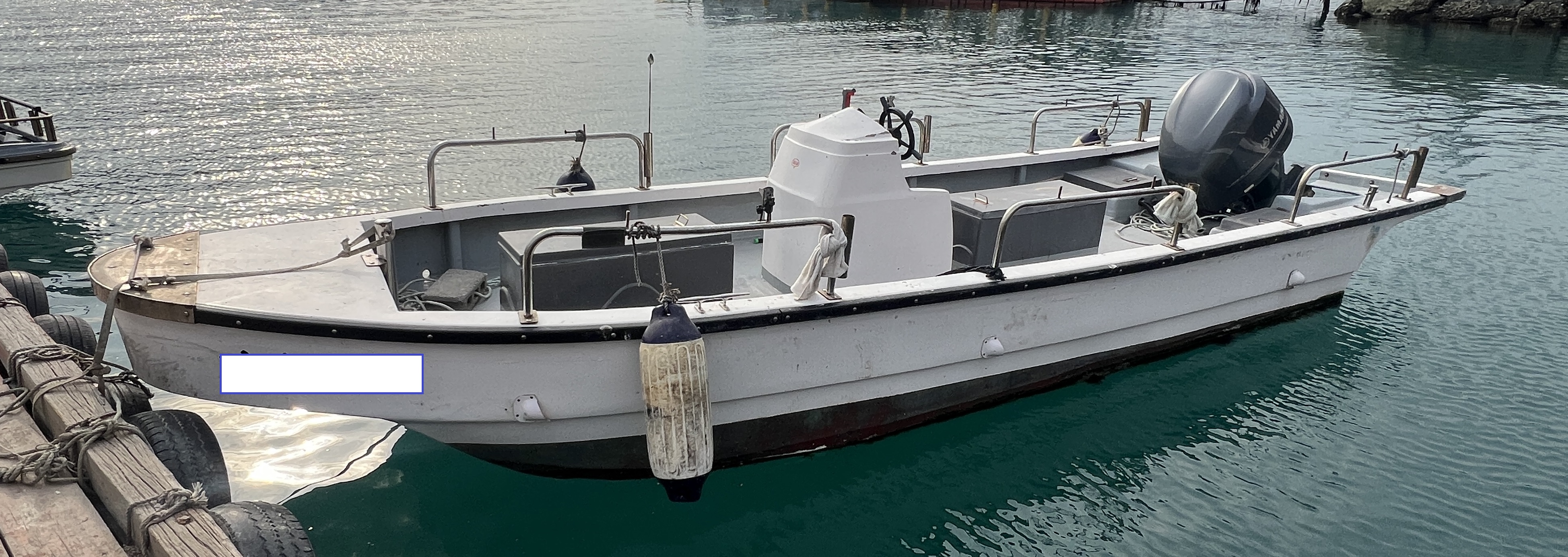 0.95톤 레저선 판매 사진