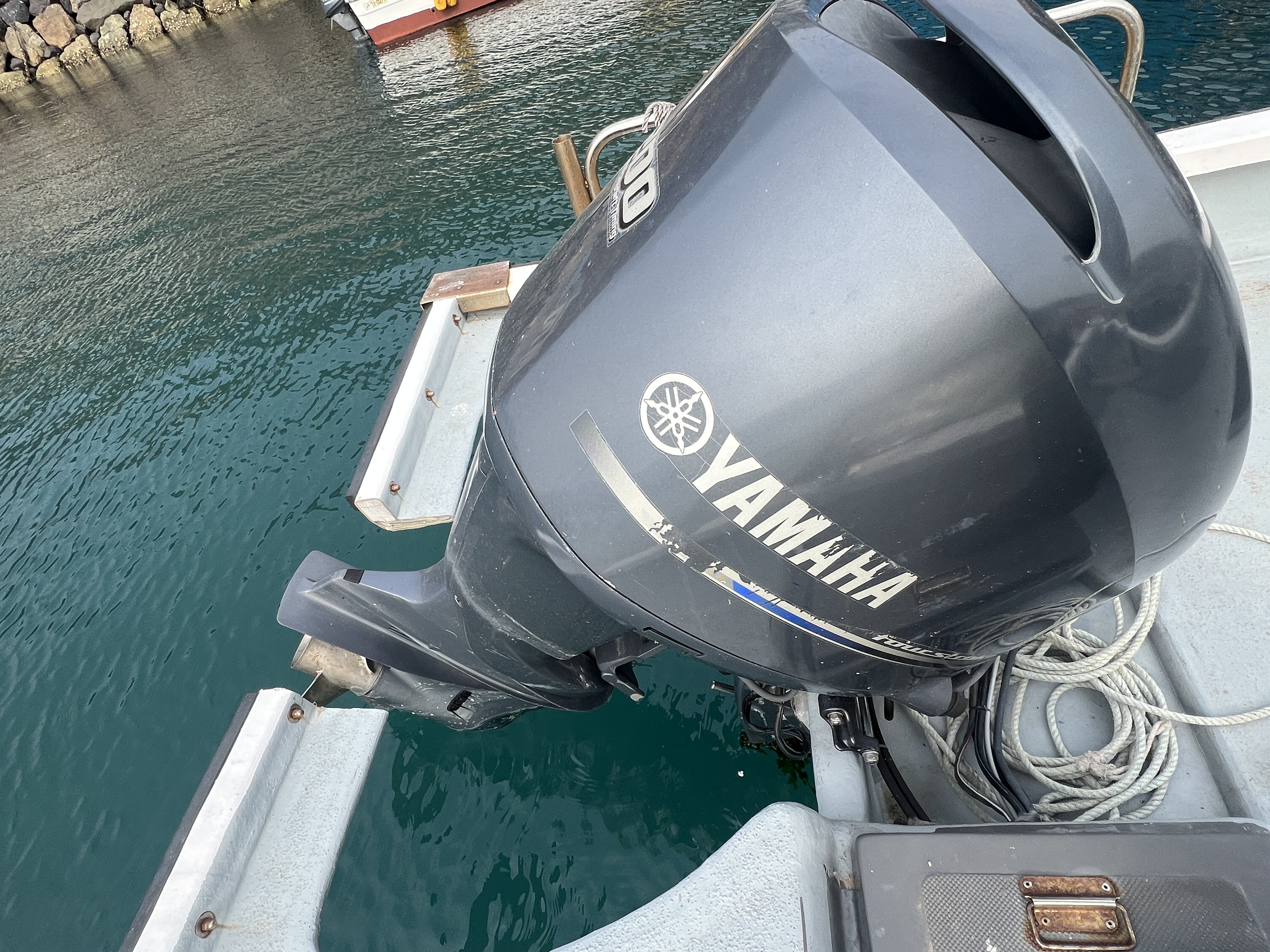 0.95톤 레저선 판매 이미지 4