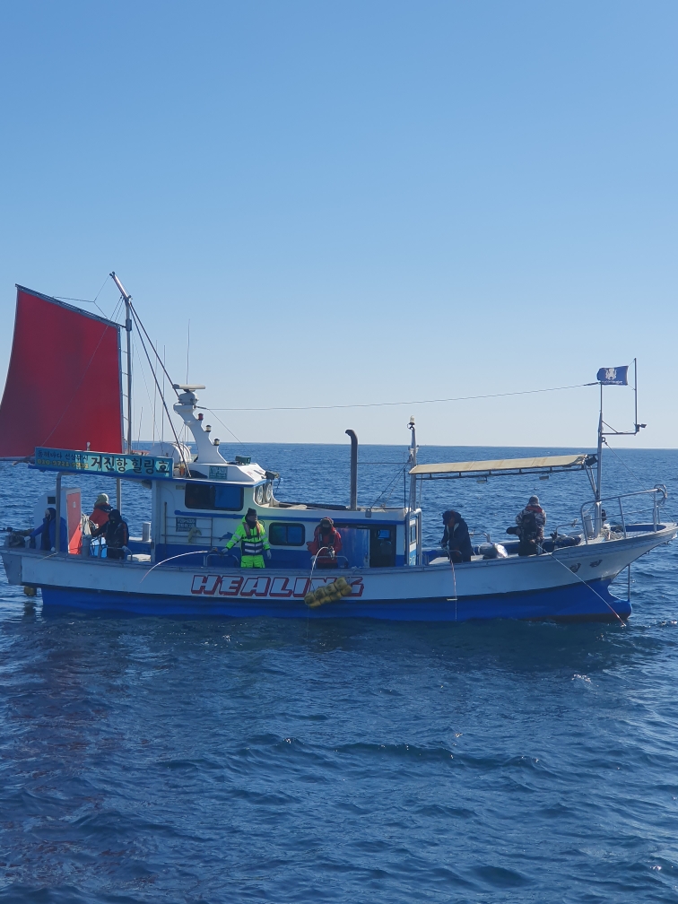 [강원도] 6.67톤 연안복합+연안자망 낚시어선 매매 메인 이미지