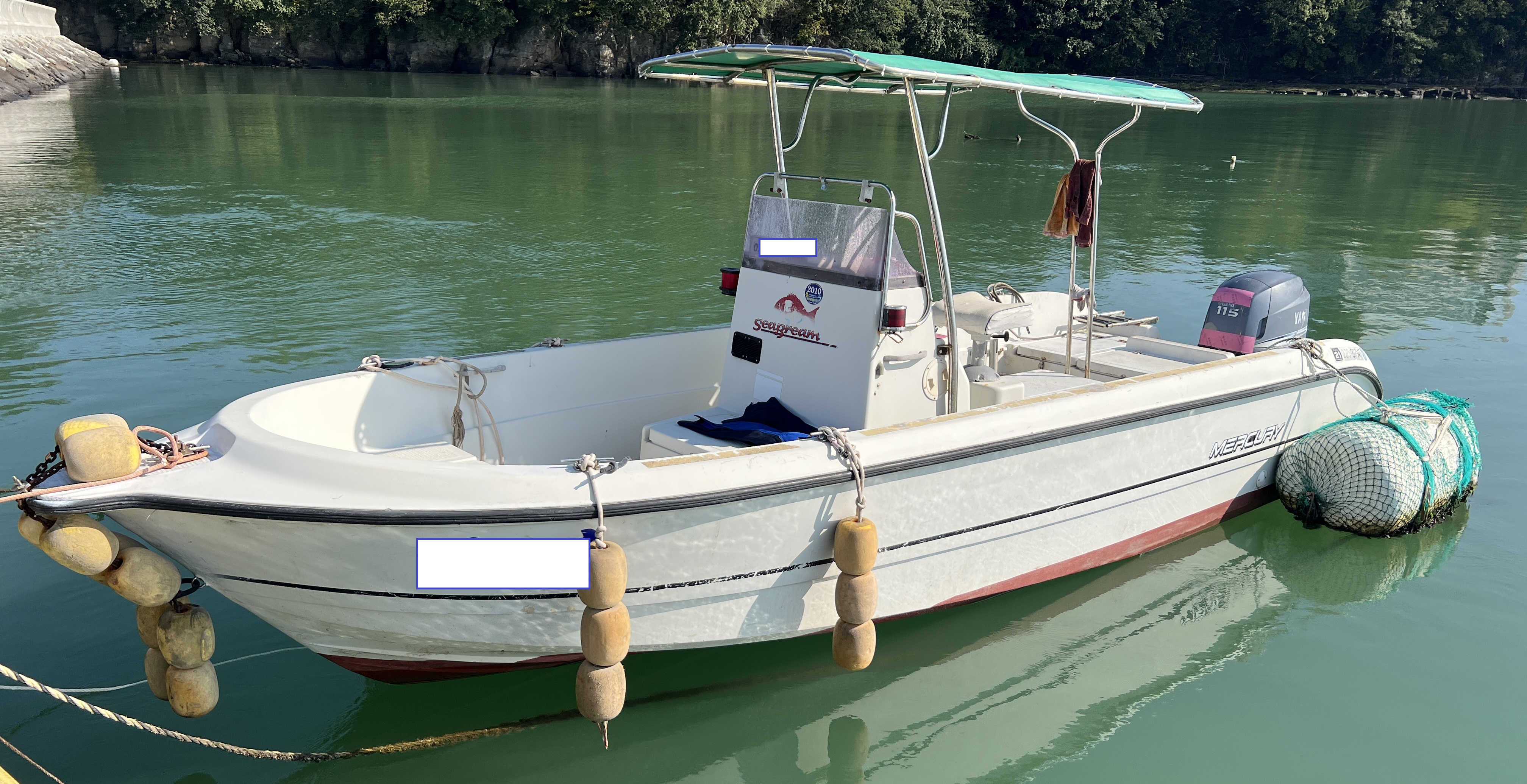 0.92톤 레저선 매매 (일산 몰드) 메인 이미지