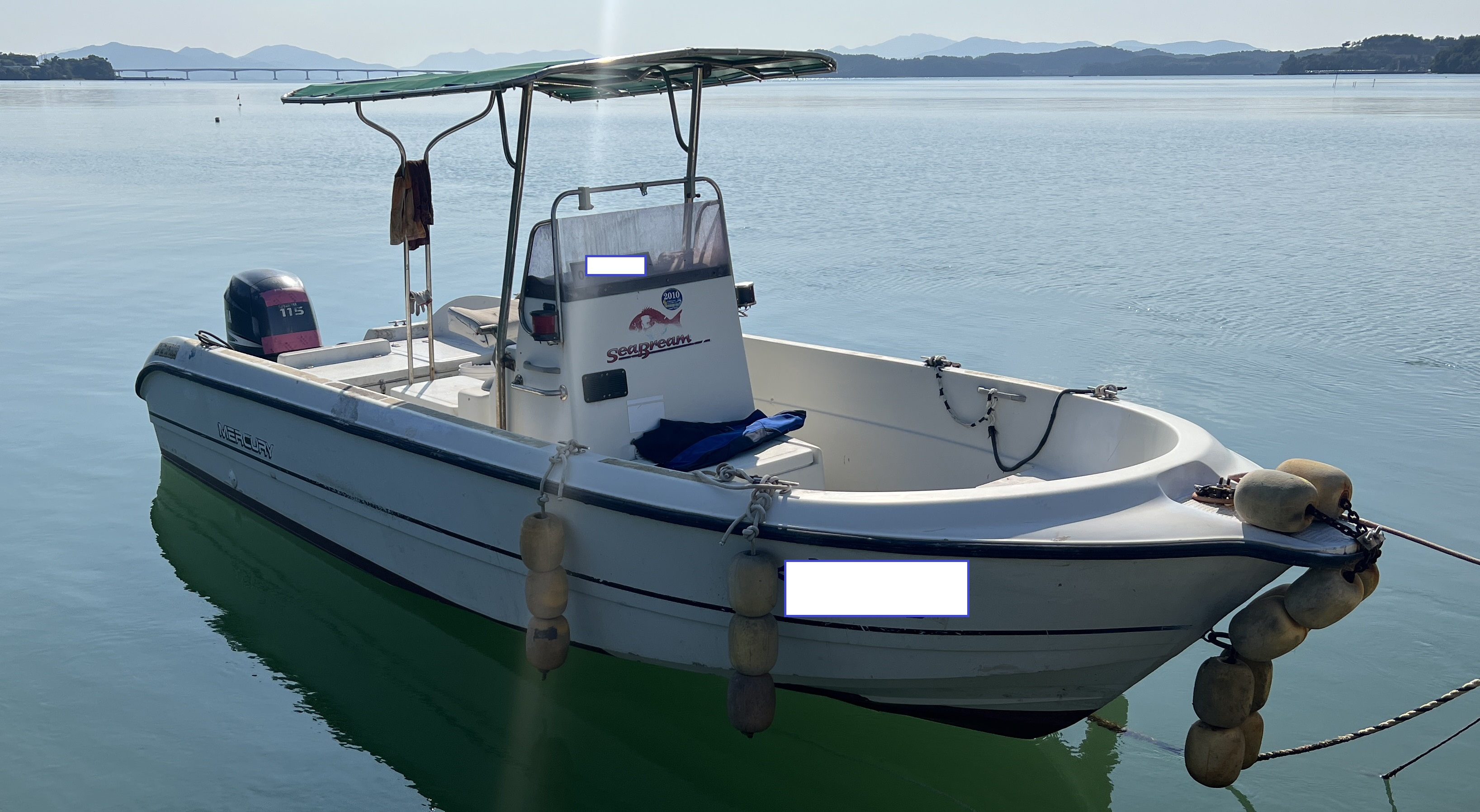 0.92톤 레저선 매매 (일산 몰드) 이미지 2